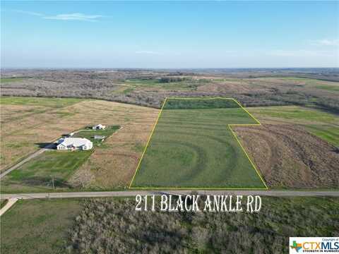 211 Black Ankle Road, Lockhart, TX 78644