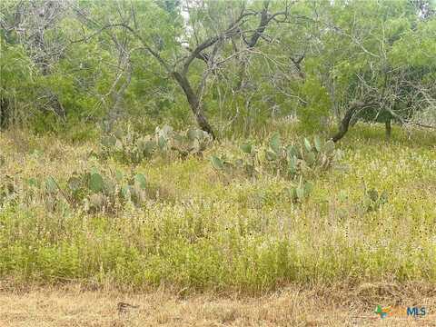 Lot 14 Wisteria Lane, Smiley, TX 78159