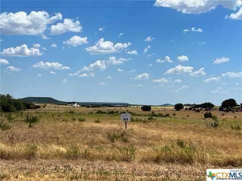 Lot 8 Cottonwood Mesa Drive, Kempner, TX 76539