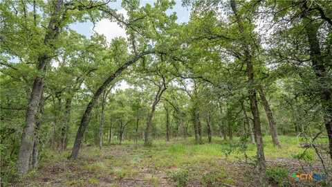 418-c County Road 405, OTHER, TX 76518