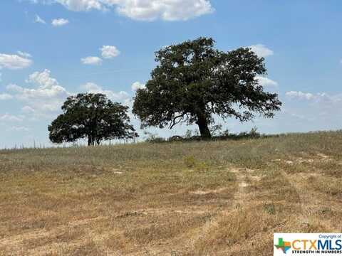 06 County Rd 232, Floresville, TX 78114