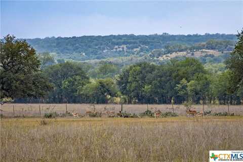 Lot 48 Cattle Trail, Kempner, TX 76539