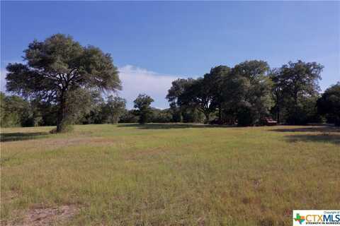 1068 County Road 360, Shiner, TX 77984