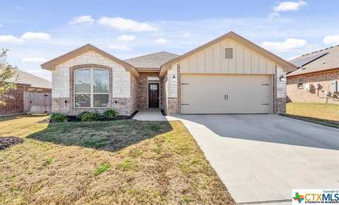 3223 James Ridge Drive, Belton, TX 76513