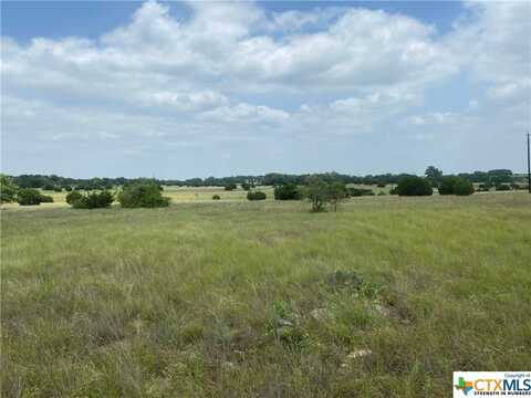 15571 Pr 3644, Kempner, TX 76539