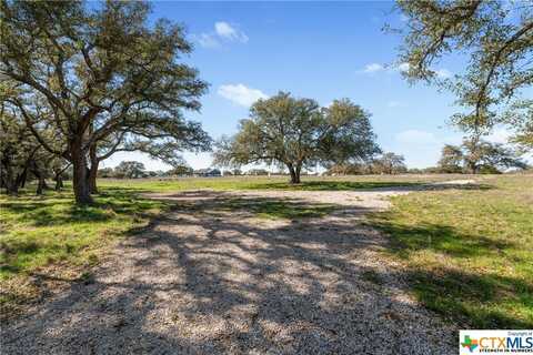 Lot 222 Blackbuck Ridge Drive, Lampasas, TX 76550