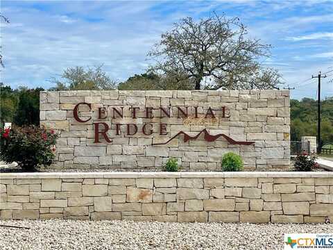 1220 Adyson Ridge Drive, Bulverde, TX 78163