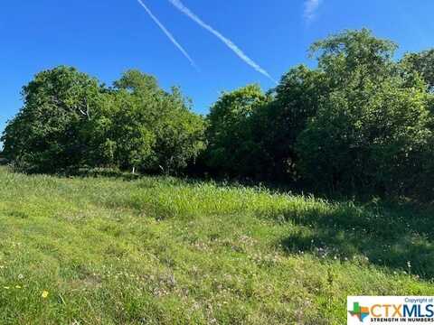 117 Austwell Road, Tivoli, TX 77990