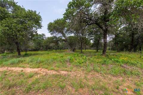 0 (lot 145) Flash Circle, Luling, TX 78648