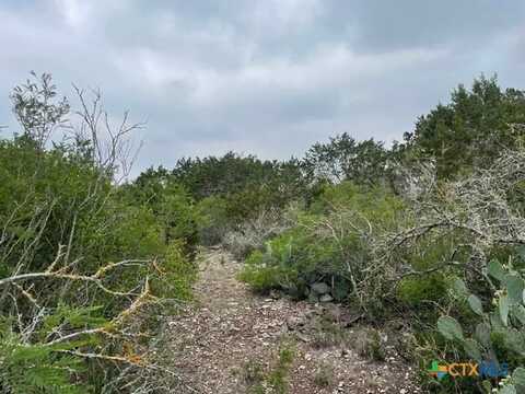 1857 Zion Hill Road, Seguin, TX 78155