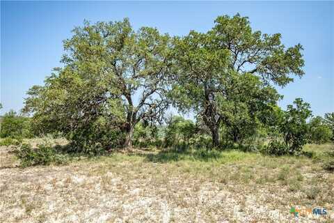 180 Steel Creek Crest, OTHER, TX 78010