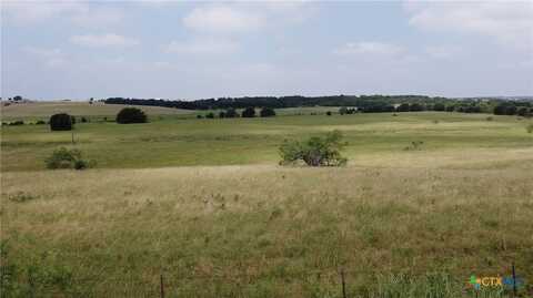 0 FM 437, Rogers, TX 76569