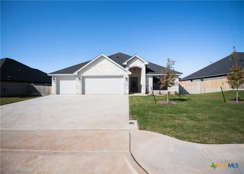 809 Sunnys Halo Drive, Hewitt, TX 76643