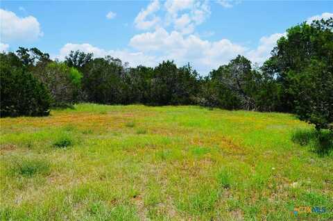 27314 Natural Bridge Caverns Road, San Antonio, TX 78266