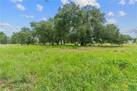 955 Ferguson Loop, Dale, TX 78616