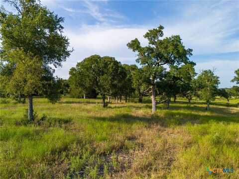 119 Pecan Creek Drive, Lampasas, TX 76550