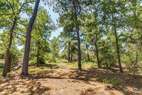 Lot 239 Kaelepulu Dr, Bastrop, TX 78602