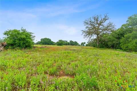 Lot 4 County Rd 441, Harwood, TX 78629