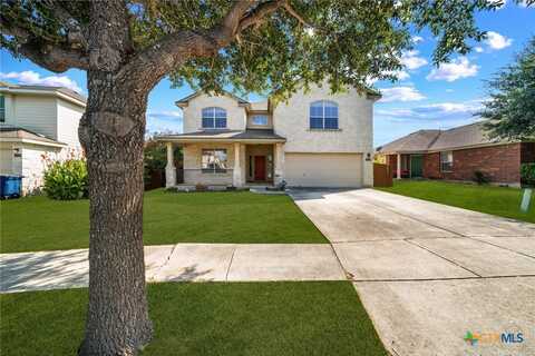 2430 Dove Crossing Drive, New Braunfels, TX 78130