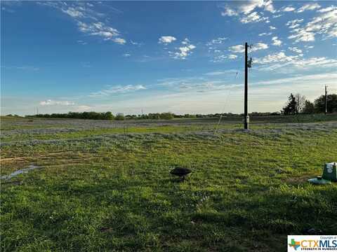 000 County Road 335, Shiner, TX 77984