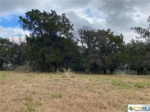 204 Canyon Creek Road, Horseshoe Bay, TX 78657