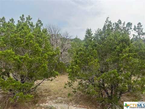 651 Rockmoor, Canyon Lake, TX 78133