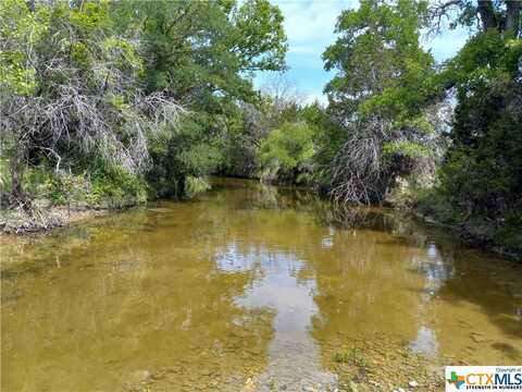 Tract 7 CR 102, Purmela, TX 76566