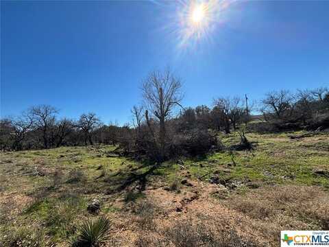 Tbd Rosehill, Granite Shoals, TX 78654