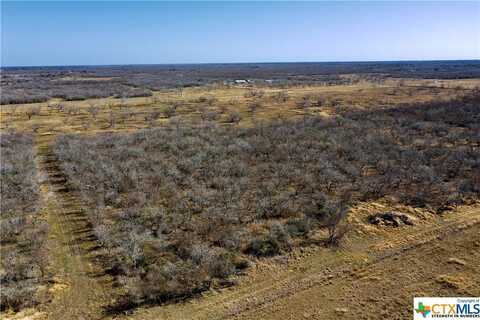 Tbd McCampbell - Tract F, Goliad, TX 77963