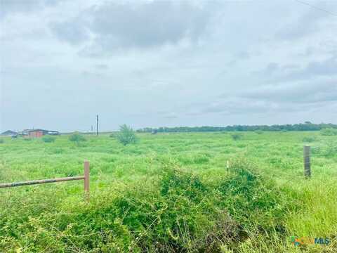 Lot 1 County Road 273, Ganado, TX 77962