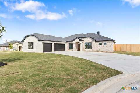 5401 Hollow Ranch Court, Salado, TX 76571