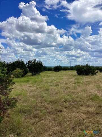 Tbd Lot 4 C.R. 206, Lampasas, TX 76550