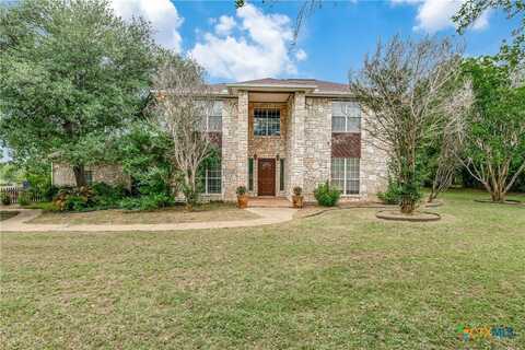 10767 Rosemar Lane, Adkins, TX 78101