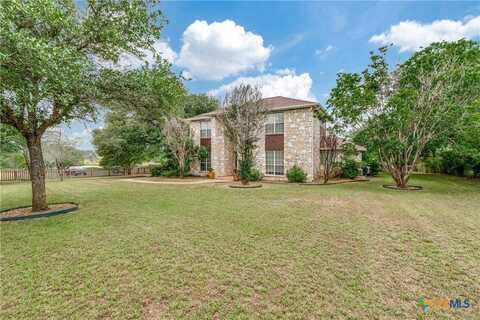 10767 Rosemar Lane, Adkins, TX 78101