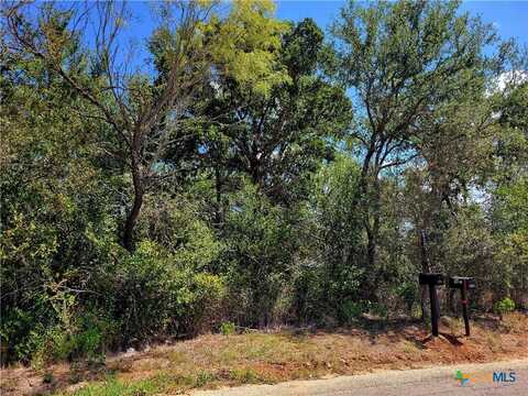 Tbd Dale Lane, Dale, TX 78616