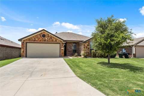 8413 Salt Mill Hollow Drive, Temple, TX 76502