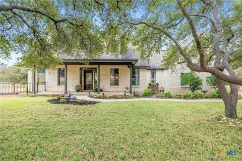 153 N Showhorse Drive, Liberty Hill, TX 78642