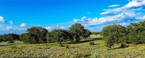 Lot 110 Kudu Court, Lampasas, TX 76550