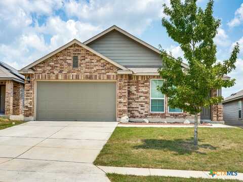 1028 Sandwell Court, Seguin, TX 78155