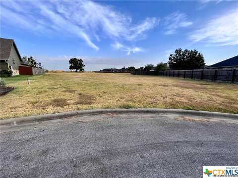 102 Davis Court, OTHER, TX 76577