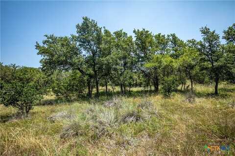 137 Steel Creek Crest, OTHER, TX 78010