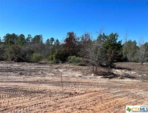 Lot 50 Martin Lane, Paige, TX 78659