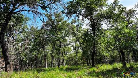 Lot 5 Sandstone Lane, Seguin, TX 78155