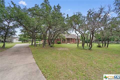 172 Thoroughbred Trc, Liberty Hill, TX 78642