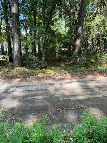 00 Third(3rd) St., Santee, SC 29142