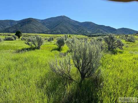 L16b4 Sumac Loop, Swan Valley, ID 83449