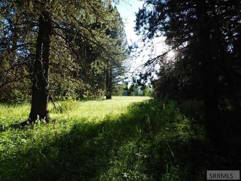 4930 Alpenglow Way, Island Park, ID 83429