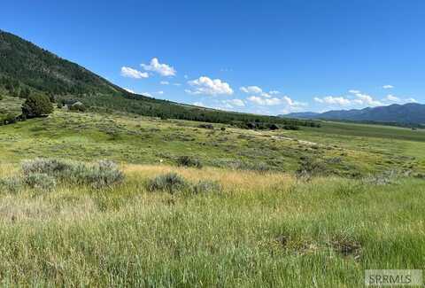 Lot 17 Bull Elk Drive, Swan Valley, ID 83449