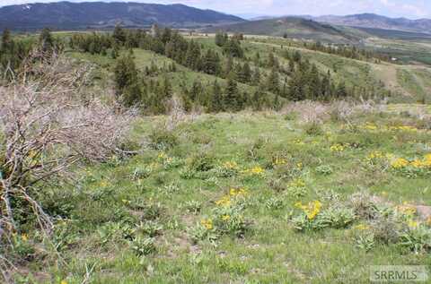 Caribou Road, SODA SPRINGS, ID 83276