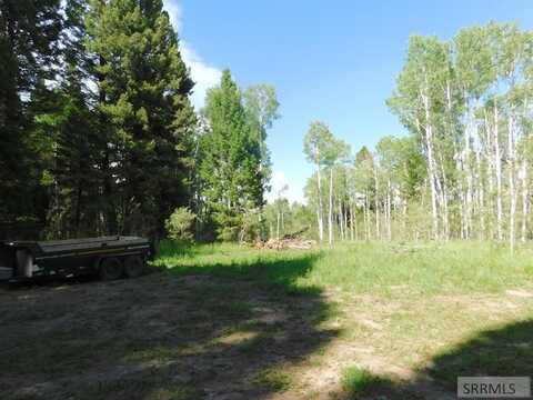 4915 Shadow Wood, Island Park, ID 83429